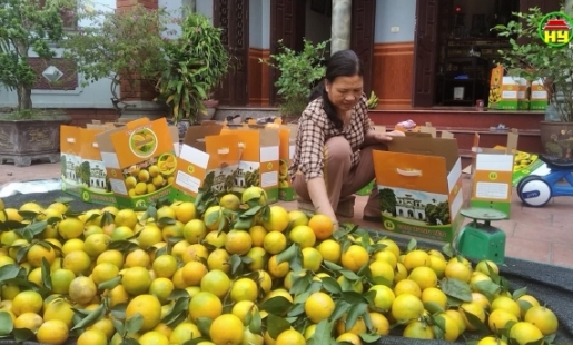 Tiêu thụ cam  nhờ mạng xã hội.