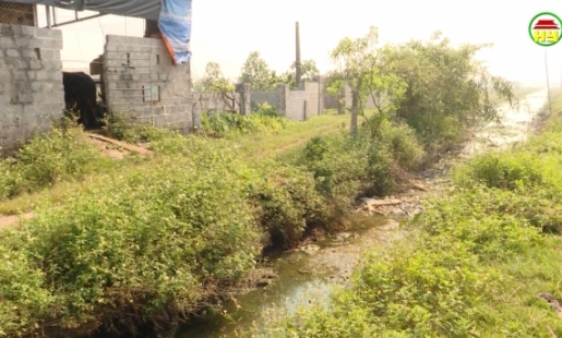 Chăn nuôi trong khu dân cư gây ô nhiễm môi trường ở thôn Đặng Xá