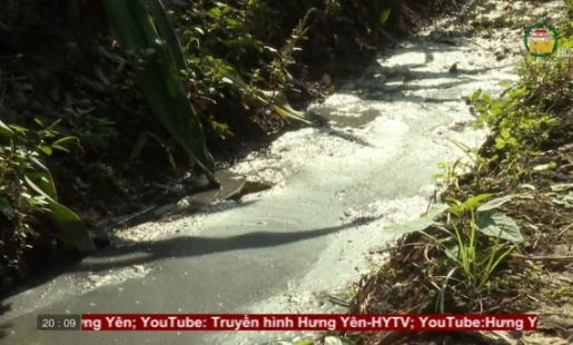 Ô nhiễm môi trường từ chăn nuôi sát khu dân cư