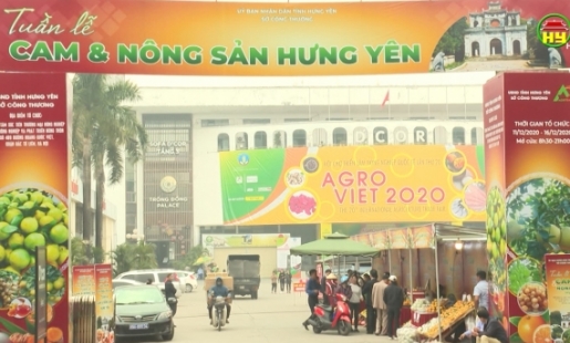 Khai mạc tuần lễ Cam và nông sản Hưng Yên tại Hà Nội
