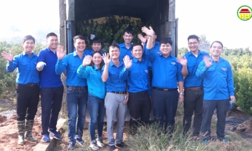 Đưa quất cảnh Văn Giang đến với Trường Sa