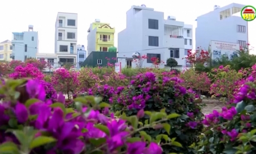Hưng Yên xây dựng thương hiệu làng nghề hoa cây cảnh gắn với phát triển du lịch 