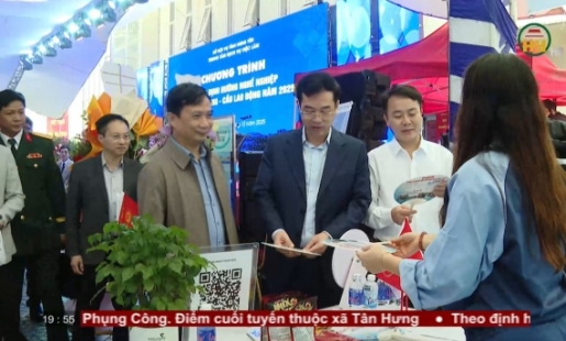 Kết nối cung – cầu lao động