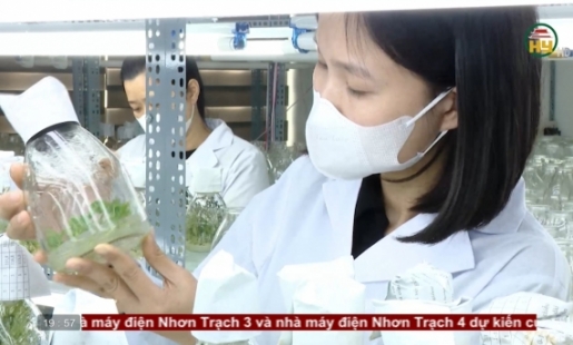 Nhân lực chất lượng cao thúc đẩy phát triển sản xuất