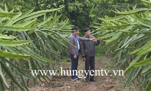 Kim Động: Xây dựng bản đồ thổ nhưỡng, góp phần đẩy mạnh chuyển đổi cơ cấu cây trồng