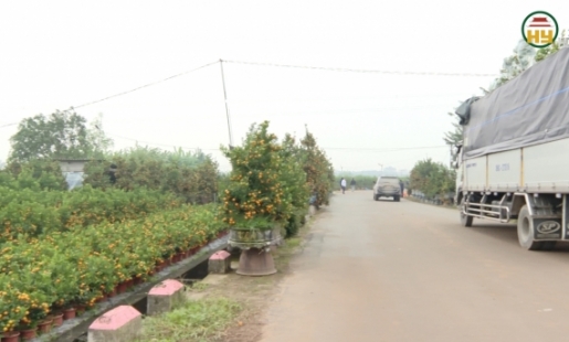 Tiêu thụ nông sản ở các làng nghề quất cảnh Mễ Sở