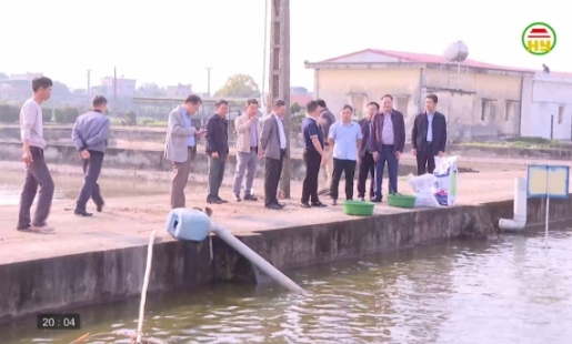 Nhiều mô hình sản xuất nông nghiệp cho hiệu quả