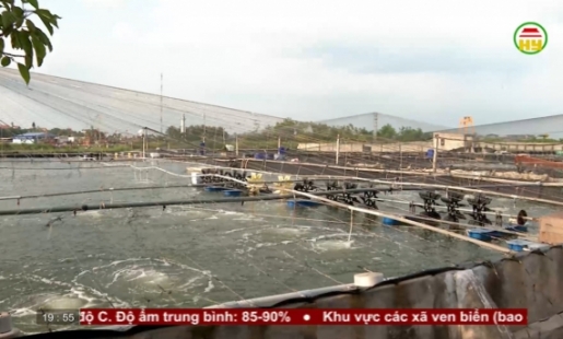 Ứng dụng công nghệ cao vào nuôi thủy sản