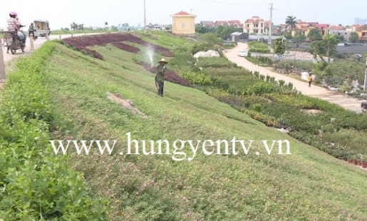 Văn Giang xây dựng tuyến đê kiểu mẫu