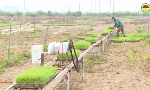 Đẩy nhanh gieo cấy vụ xuân