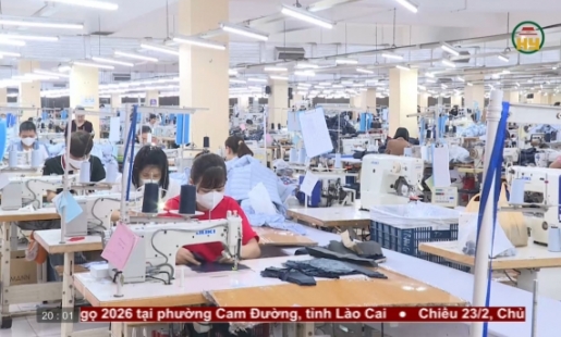 Khởi động sản xuất kinh doanh ngay từ ngày đầu xuân