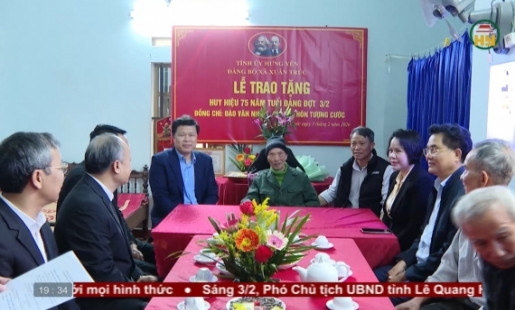 Trao Huy hiệu Đảng và thăm, tặng quà Tết