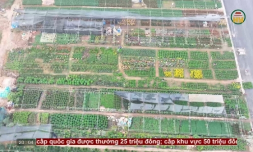 Vào vụ sản xuất hoa, cây cảnh sau Tết