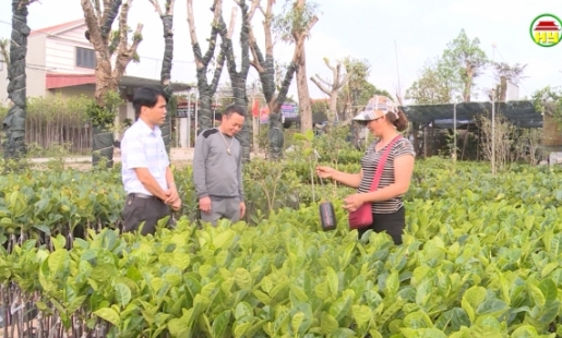 Hợp tác xã giống cây trồng Thành Phát ứng dụng KHCN vào sản xuất kinh doanh