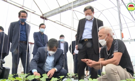 Đoàn công tác của tỉnh Sơn La thăm một số mô hình sản xuất nông nghiệp trên địa bàn tỉnh