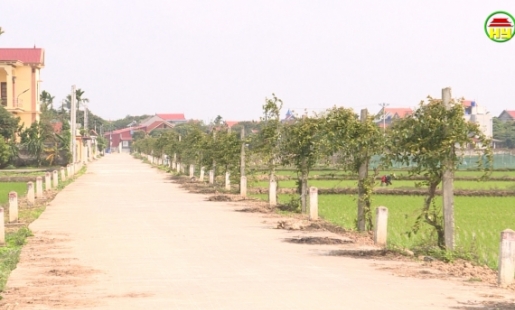 Huyện Phù Cừ tích cực xây dựng các tuyến đường nông thôn mới kiểu mẫu