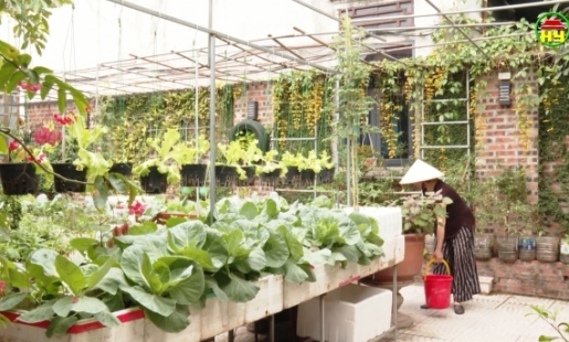 Biến rác thải thành vườn rau xanh