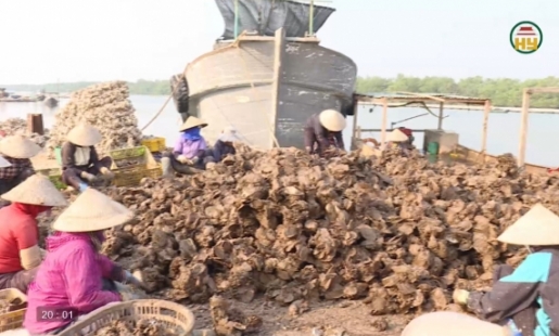 Hưng Yên phát triển thủy sản bền vững, trách nhiệm