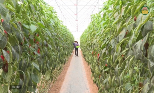 Truy xuất nguồn gốc – Nâng tầm nông sản Hưng Yên