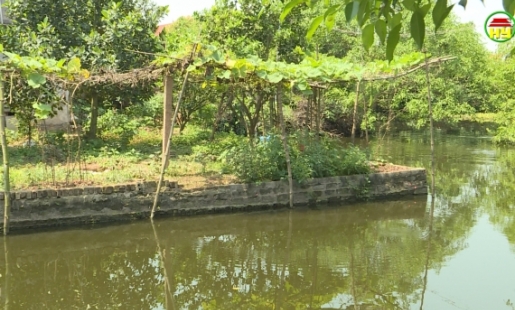 Lấn chiếm ao làng dẫn đến mâu thuẫn trong khu dân cư