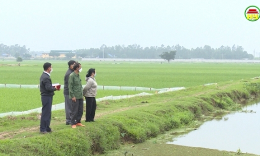 Phát huy vai trò của Mặt trận Tổ quốc trong giải phóng mặt bằng tại Ân Thi