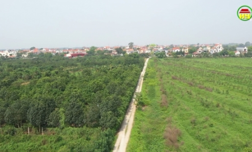 Kinh nghiệm GPMB các dự án trọng điểm ở xã Đồng Than