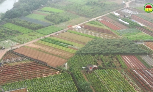Tập trung GPMB phục vụ thi công đường vành đai 4