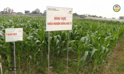 Phát triển dự án, công trình khoa học về nông nghiệp