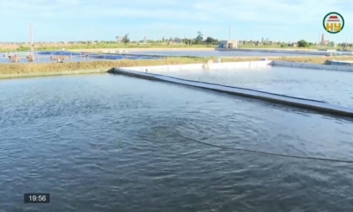 Ứng dụng khoa học công nghệ vào nuôi thuỷ sản