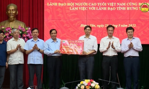 Lãnh đạo Hội NCT Việt Nam làm việc với lãnh đạo tỉnh Hưng Yên