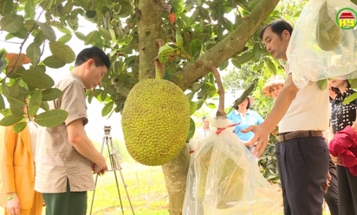 Đem quả ngọt lên Điện Biên