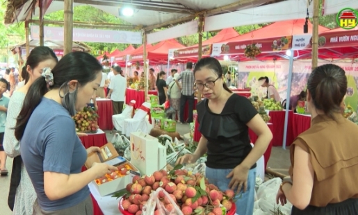 Khai mạc phiên chợ vải lai chín sớm Hưng Yên