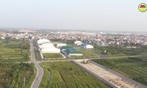 Ngăn chặn trồng cây chờ bồi thường