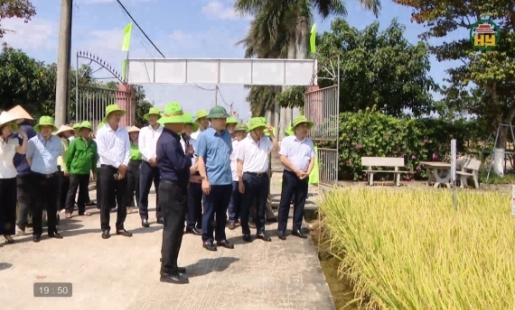 Nghiên cứu, chọn tạo giống lúa mới thích ứng với biến đổi khí hậu
