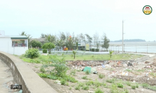 Xử lý nghiêm vi phạm đê biển