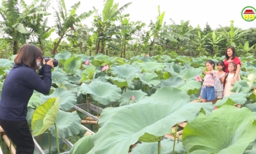 Mô hình nông nghiệp xanh kết hợp du lịch sinh thái
