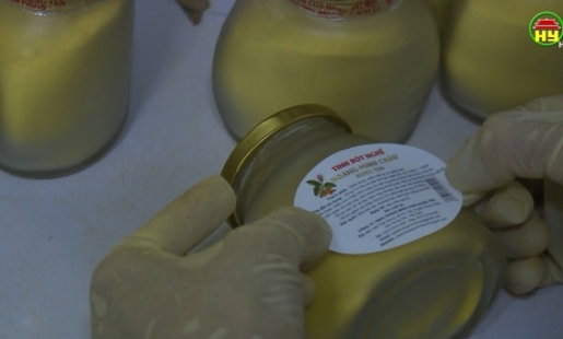 Công ty TNHH Hoàng Minh Châu Hưng Yên xuất khẩu 15 tấn bột nghệ sang Nhật Bản