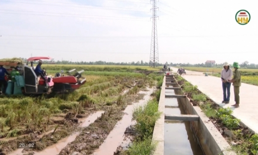 Đầu tư hạ tầng phục vụ sản xuất nông nghiệp 