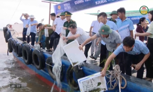 Hưởng ứng Ngày Đại dương thế giới 