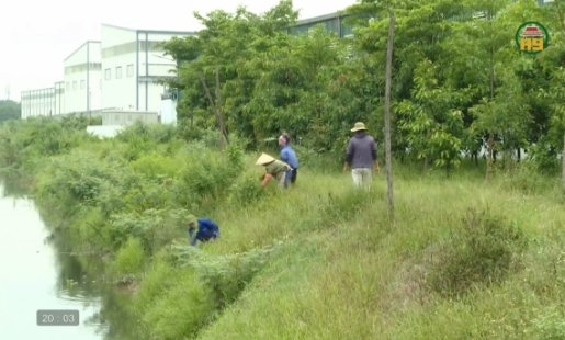 Phòng chống úng ngập cho khu công nghiệp