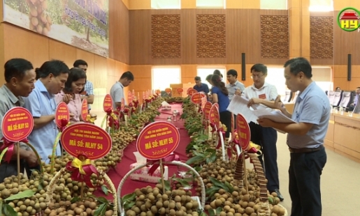 55 sản phẩm dự thi nhãn ngon tỉnh Hưng Yên năm 2020