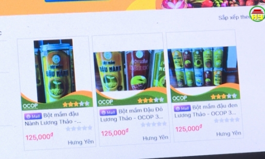 Bán hàng trên trang Thương mại điện tử - Hướng đi bền vững mùa dịch