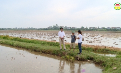 Giá vật tư, giống tăng cao – Người dân gặp khó