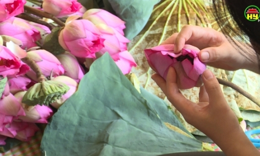 Xây dựng nhãn hiệu sen Hưng Yên