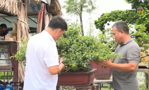 Hướng đi mới của Hợp tác xã Tỷ Phú