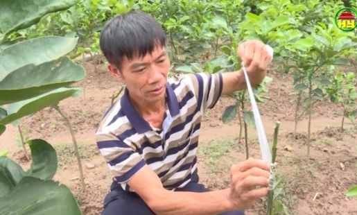 Nông dân Đào Minh Chuyên điển hình trong phong thi đua yêu nước