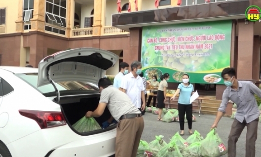 Hỗ trợ tiêu thụ trên180 tấn nhãn cho nông dân.