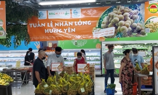 Hưng Yên vượt khó tiêu thụ nhãn trong mùa dịch
