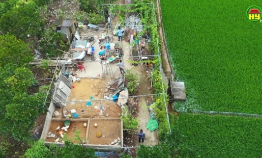 Ân Thi quyết liệt xử lý vi phạm trên đất nông nghiệp