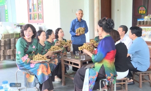 Trải nghiệm mùa nhãn chín 